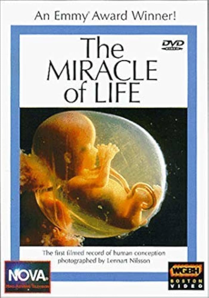 Prenatal Night